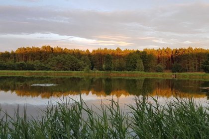 hotel - Hotel Odpocznia Resort i Las - zdjęcie 12