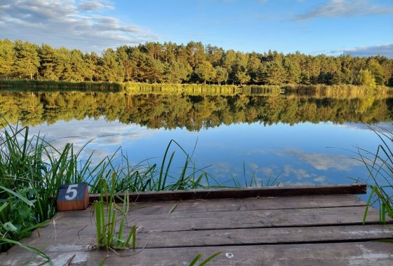 hotel - Hotel Odpocznia Resort i Las - Usługi - zdjęcie 5