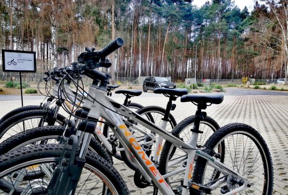 hotel - Hotel Odpocznia Resort i Las - Usługi - zdjęcie 4
