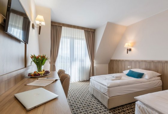 obiekt konferencyjny - Borowy Dwór Biznes, Spa & Fun - Pokoje - zdjęcie 8