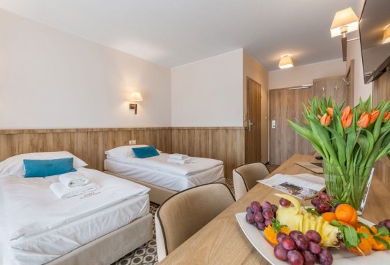 obiekt konferencyjny - Borowy Dwór Biznes, Spa & Fun - Pokoje - zdjęcie 9