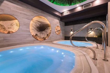obiekt konferencyjny - Borowy Dwór Biznes, Spa & Fun - zdjęcie 26