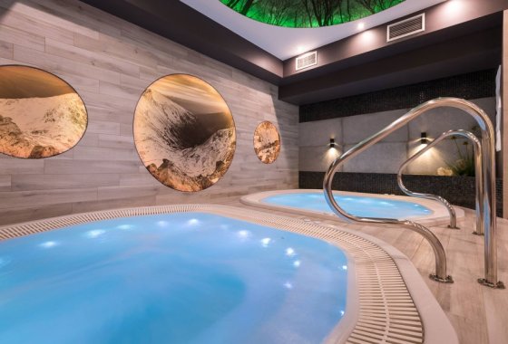 obiekt konferencyjny - Borowy Dwór Biznes, Spa & Fun - Usługi - zdjęcie 1