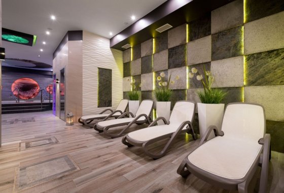 obiekt konferencyjny - Borowy Dwór Biznes, Spa & Fun - Usługi - zdjęcie 6