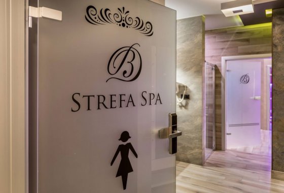 obiekt konferencyjny - Borowy Dwór Biznes, Spa & Fun - Usługi - zdjęcie 8