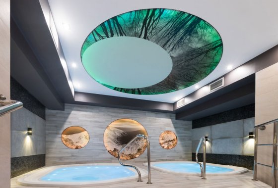 obiekt konferencyjny - Borowy Dwór Biznes, Spa & Fun - Usługi - zdjęcie 3