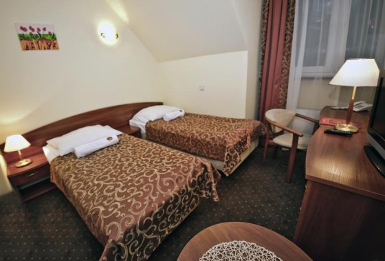 hotel *** - Ośrodek Szkoleniowo-Wypoczynkowy Wityng - Pokoje - zdjęcie 6