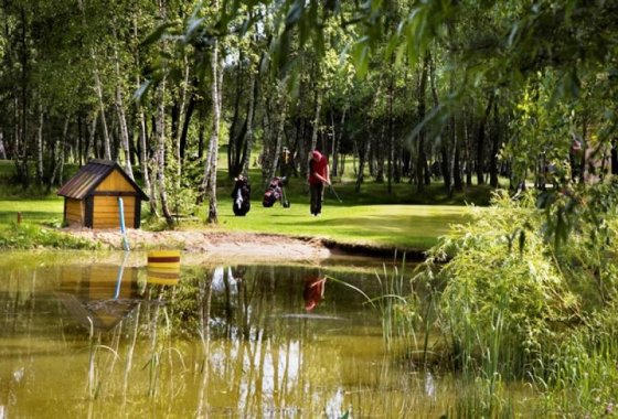 hotel *** - Ośrodek Szkoleniowo-Wypoczynkowy Wityng - Usługi - zdjęcie 1