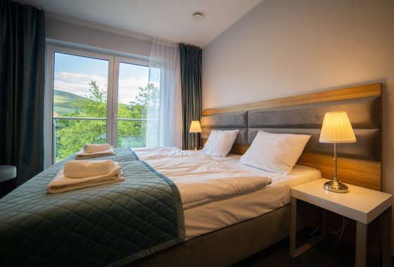 hotel *** - Hotel i Apartamenty pod Śnieżnikiem - Pokoje - zdjęcie 1