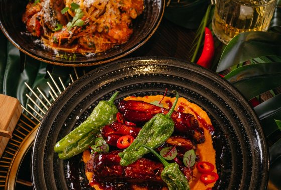 inny - Baila Show&Dining - Usługi - zdjęcie 8
