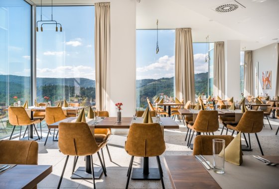 hotel ***** - Crystal Mountain Resort***** - Usługi - zdjęcie 5