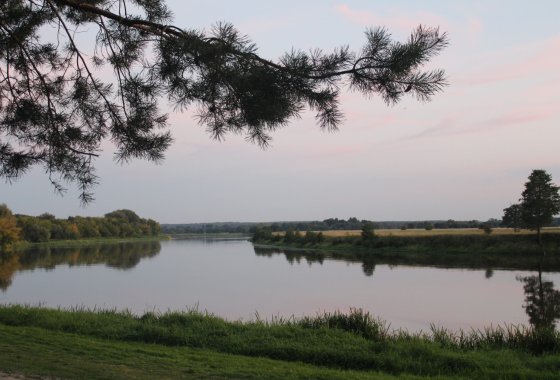 hotel *** - Hotel Drohicki - Usługi - zdjęcie 1