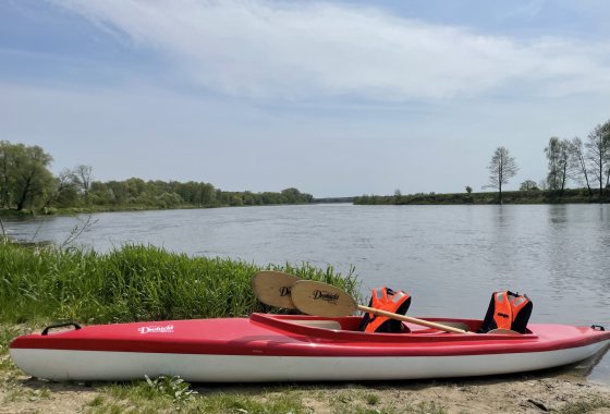 hotel *** - Hotel Drohicki - Usługi - zdjęcie 3
