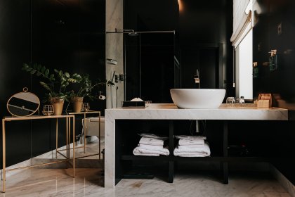 hotel ***** - Platinum Palace Boutique Hotel & SPA we Wrocławiu - zdjęcie 3