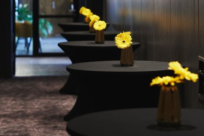 hotel **** - Stay inn by Frost Warszawa - zdjęcie 28