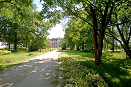 pałac - Centrum Edukacyjno-Rozwojowe Pałac Wrocław Pawłowice - zdjęcie 7