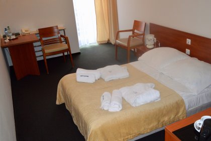 hotel - Termy Pałacowe Uzdrowisko Nałęczów - zdjęcie 6