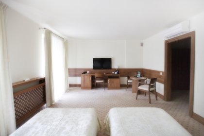hotel - Termy Pałacowe Uzdrowisko Nałęczów - zdjęcie 8