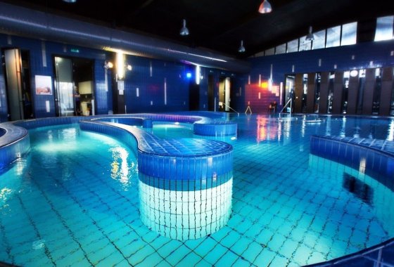 hotel - Termy Pałacowe Uzdrowisko Nałęczów - Usługi - zdjęcie 7