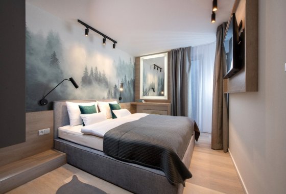 obiekt konferencyjny - Vislow Resort - Pokoje - zdjęcie 9