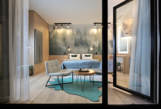obiekt konferencyjny - Vislow Resort - Pokoje - zdjęcie 10