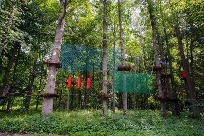 hotel - Enklawa Białowieska Forest&Spa - zdjęcie 2