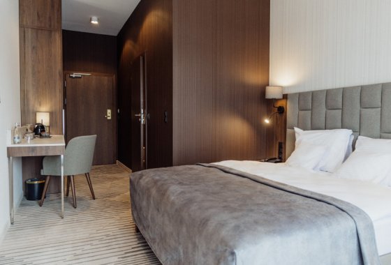 hotel ***** - Elements Hotel & Spa Świeradów Zdrój - Pokoje - zdjęcie 16