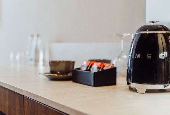 hotel ***** - Elements Hotel & Spa Świeradów Zdrój - Pokoje - zdjęcie 15