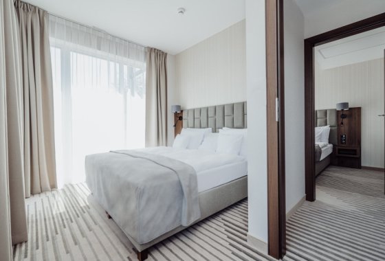 hotel ***** - Elements Hotel & Spa Świeradów Zdrój - Pokoje - zdjęcie 18