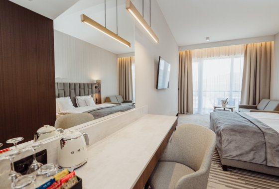 hotel ***** - Elements Hotel & Spa Świeradów Zdrój - Pokoje - zdjęcie 20