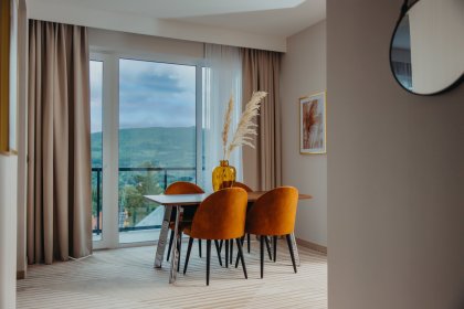 hotel ***** - Elements Hotel & Spa Świeradów Zdrój - zdjęcie 12
