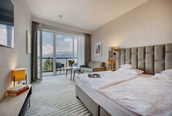 hotel ***** - Elements Hotel & Spa Świeradów Zdrój - Pokoje - zdjęcie 4