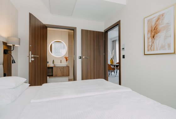 hotel ***** - Elements Hotel & Spa Świeradów Zdrój - Pokoje - zdjęcie 12