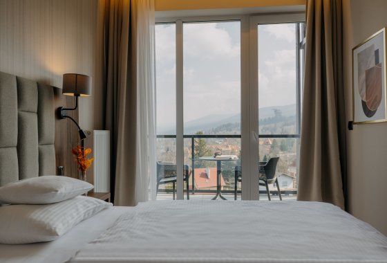 hotel ***** - Elements Hotel & Spa Świeradów Zdrój - Pokoje - zdjęcie 3