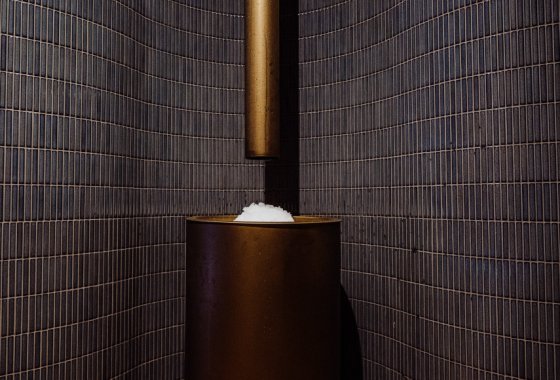 hotel ***** - Elements Hotel & Spa Świeradów Zdrój - Usługi - zdjęcie 10