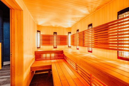 hotel ***** - Elements Hotel & Spa Świeradów Zdrój - zdjęcie 32