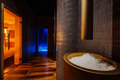 hotel ***** - Elements Hotel & Spa Świeradów Zdrój - zdjęcie 27