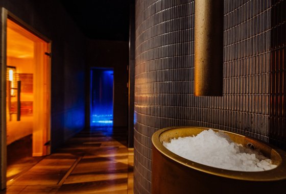 hotel ***** - Elements Hotel & Spa Świeradów Zdrój - Usługi - zdjęcie 3