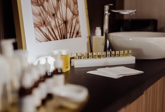 hotel ***** - Elements Hotel & Spa Świeradów Zdrój - Usługi - zdjęcie 9