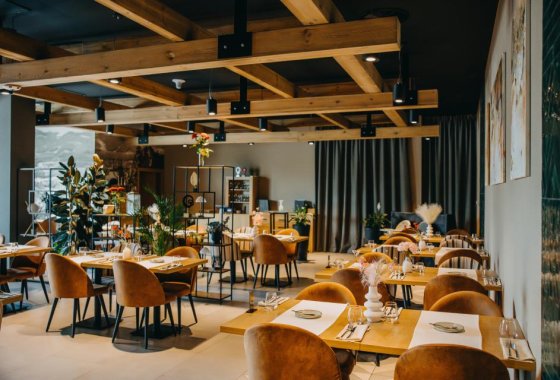 hotel ***** - Elements Hotel & Spa Świeradów Zdrój - Usługi - zdjęcie 12