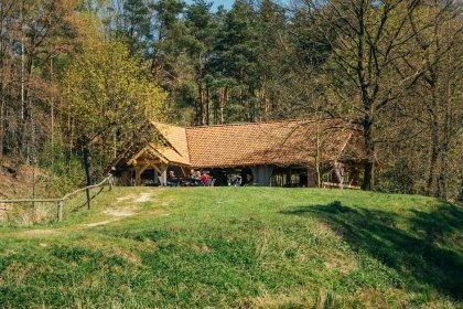 inny - Kraina Dzikiej Kaczki - zdjęcie 7