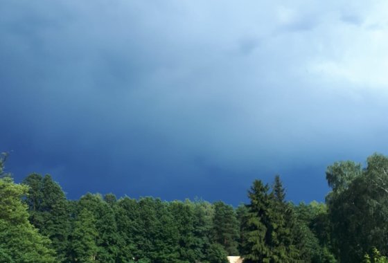 inny - Kraina Dzikiej Kaczki - Usługi - zdjęcie 3