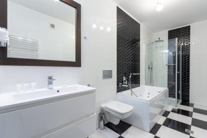 hotel **** - Hotel Jan & Park Wodny - zdjęcie 15
