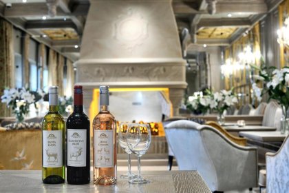 hotel - Złota Łania Wiartel Resort & SPA - zdjęcie 27