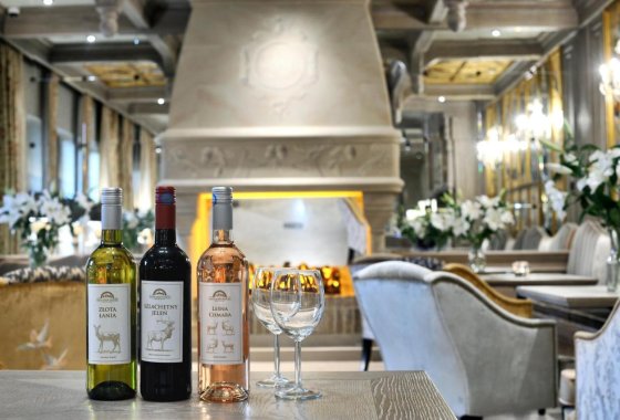 hotel - Złota Łania Wiartel Resort & SPA - Usługi - zdjęcie 10