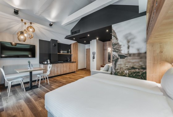 hotel ***** - Szczawnica Park Resort & Spa ***** - Pokoje - zdjęcie 6