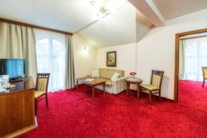 hotel *** - Hotel***Dworek Skawiński - zdjęcie 12