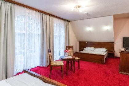 hotel *** - Hotel***Dworek Skawiński - zdjęcie 13