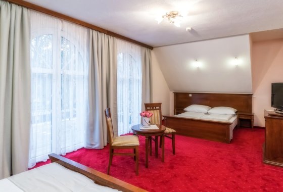 hotel *** - Hotel***Dworek Skawiński - Pokoje - zdjęcie 1