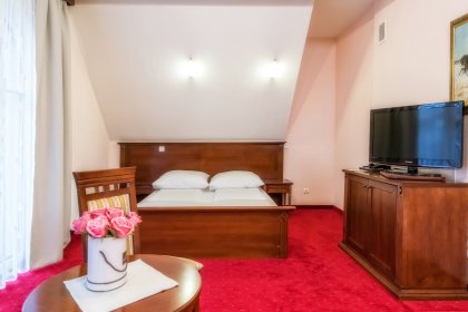 hotel *** - Hotel***Dworek Skawiński - zdjęcie 9